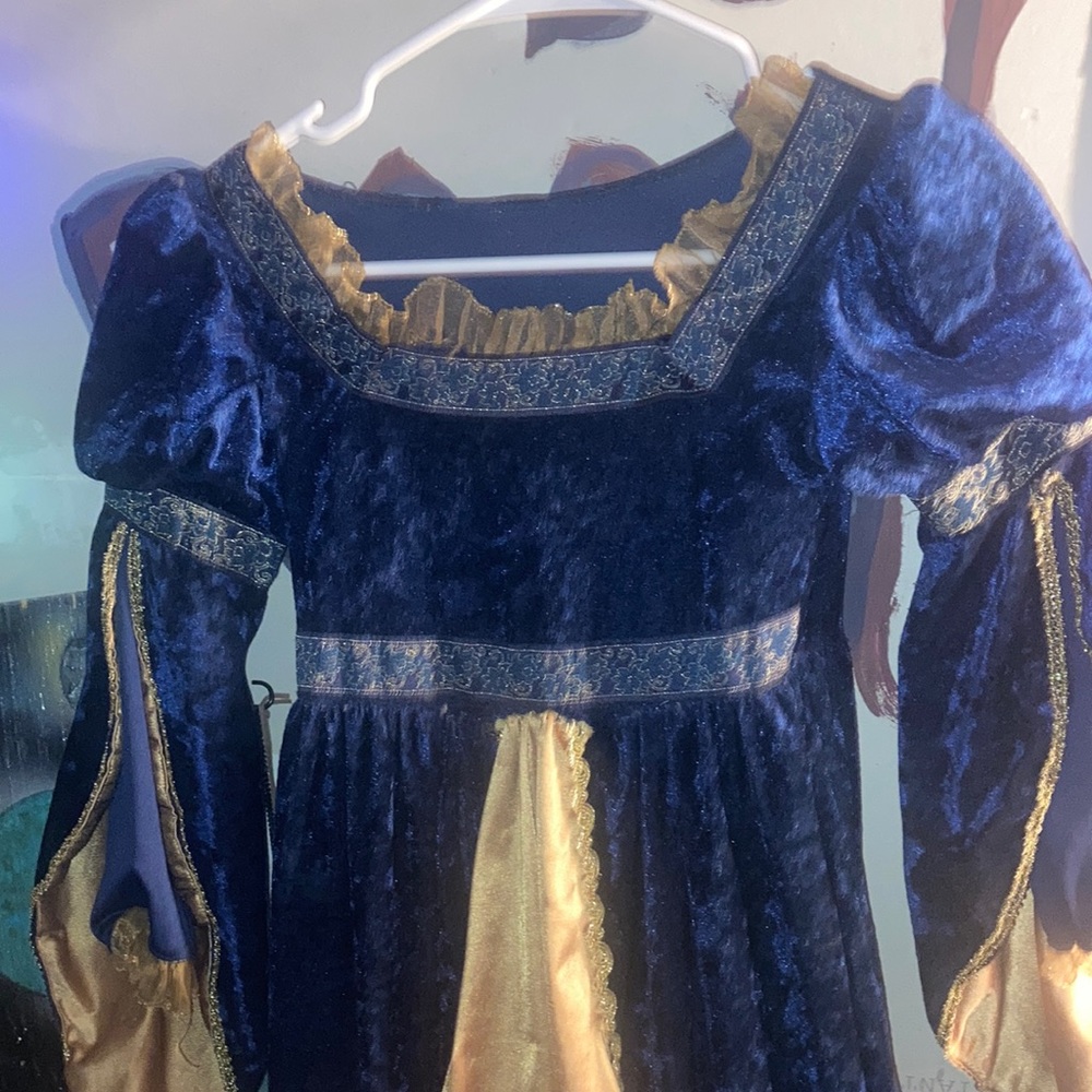 Blue velvet with golden satin princess dress